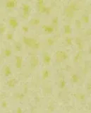 Zara Home Ароматический спрей для тканей и одежды Lime & Peppermint 190 мл, освежитель, аромат свежий цитрусовый — фото 1