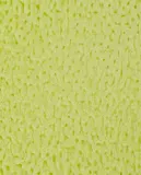 Zara Home Ароматический спрей для тканей и одежды Bergamot & Sandalwood 190 мл, освежитель, аромат древесный — фото 7