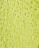 Zara Home Аромадиффузор Bergamot & Sandalwood 180 мл, тростниковые палочки микадо, аромат древесный, Коричневый — фото 2