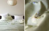 Пододеяльник Zara Home сатин, хлопок 100%, с цветочным принтом, 7110/088 — фото 8