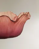 Zara Home миска из стекла, цвет зелёный, 15 см — фото 2
