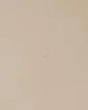 Zara Home тарелка десертная из фаянса, цвет бежевый, 21.5 см — фото 2