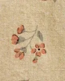 Zara Home столовая салфетка из хлопка, цветочный мотив, 45 45 см (комплект 2 шт.) · 4278/022 — фото 2