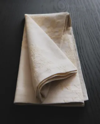 Zara Home столовая салфетка из хлопка, 50 50 см (комплект 2 шт.)