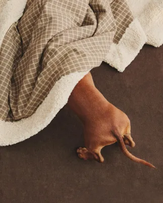 Zara Home плед из хлопка, зелёный, в клетку · 3338/004