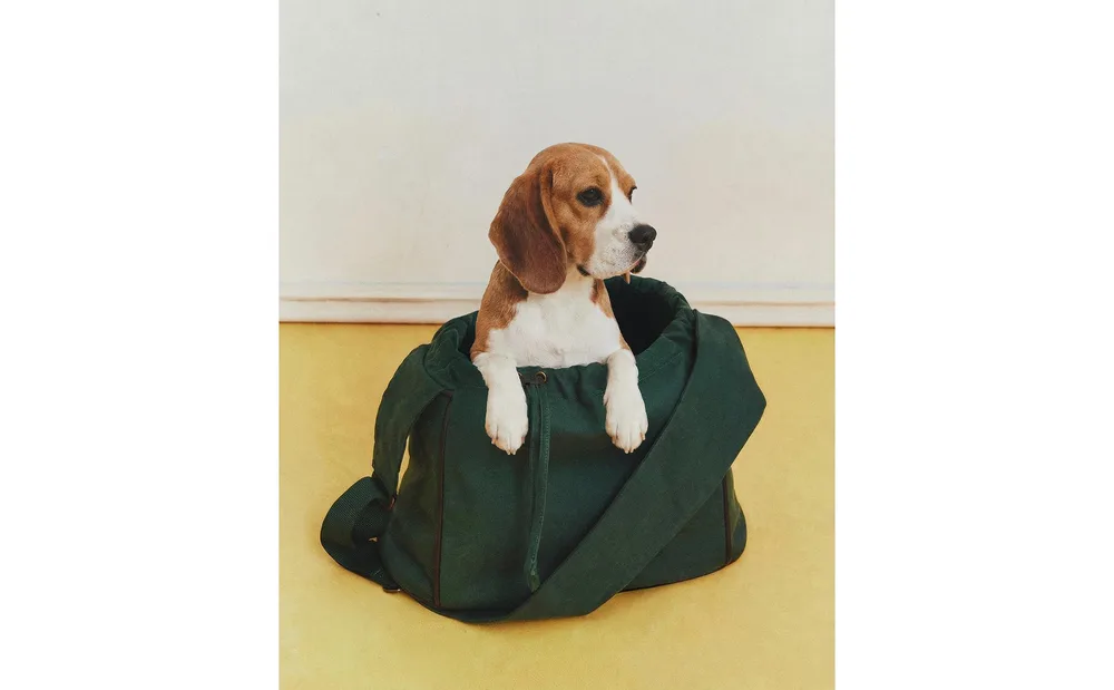 Сумка-переноска для питомца Zara Home, хлопок, зелёный, 7325/019