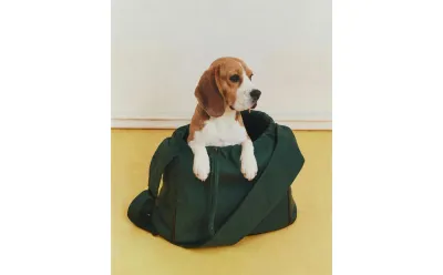 Сумка-переноска для питомца Zara Home, хлопок, зелёный, 7325/019