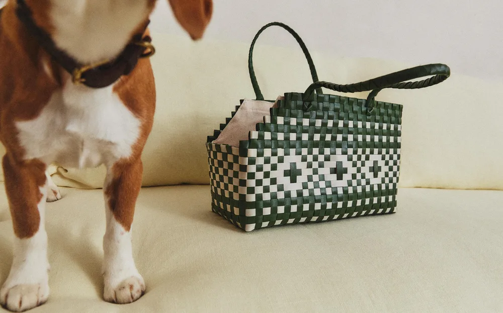 Сумка-переноска для питомца Zara Home, хлопок, зелёный, 1388/149