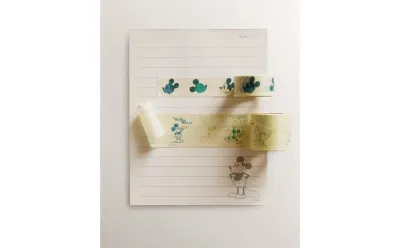 Декоративная клейкая лента Zara Home, разноцветный, 2 шт., 7610/728