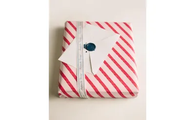 Упаковочная бумага Zara Home, разноцветный, 7626/773