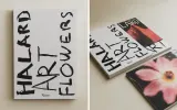 Francois Halard: A Photographic Life. Фотоальбом интерьеров (на английском языке) — фото 1