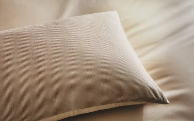 Наволочка Zara Home, хлопок 100%, в полоску, 6147/091 · арт. 6147/091-2