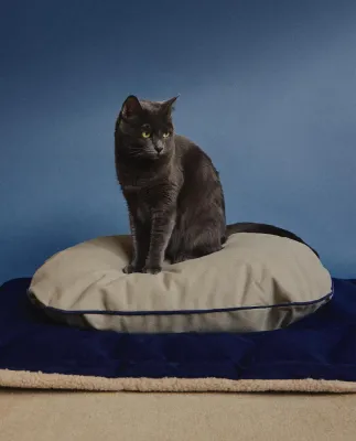Лежак для животных Zara Home, овальный, 12 35 50 см