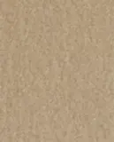 Zara Home Ароматический диффузор с палочками Orchid e Lumi re, 120 мл, аромат для дома — фото 2