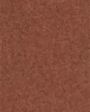 Zara Home Ароматический диффузор с палочками Poppy Fields, 230 мл, аромат для дома — фото 2