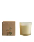 Zara Home Ароматическая свеча Mimosa Sublime, 350 г, аромат для дома — фото 5