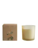 Zara Home Ароматическая свеча Mimosa Sublime, 350 г, аромат для дома — фото 6