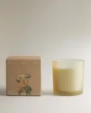 Zara Home Ароматическая свеча Mimosa Sublime, 350 г, аромат для дома — фото 7