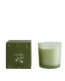 Zara Home Ароматическая свеча Tuberose, 350 г, аромат для дома — фото 7
