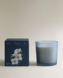 Zara Home Ароматическая свеча Aqua Bergamota, 350 г, аромат для дома — фото 8