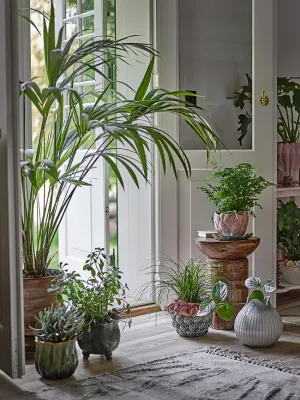 Горшок Bloomingville Jaylee, керамика, 18,5 см, розовый
