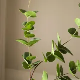 Искусственное растение Эвкалипт Botane eukaliptus, пластик, 78 см, зелёное — фото 3