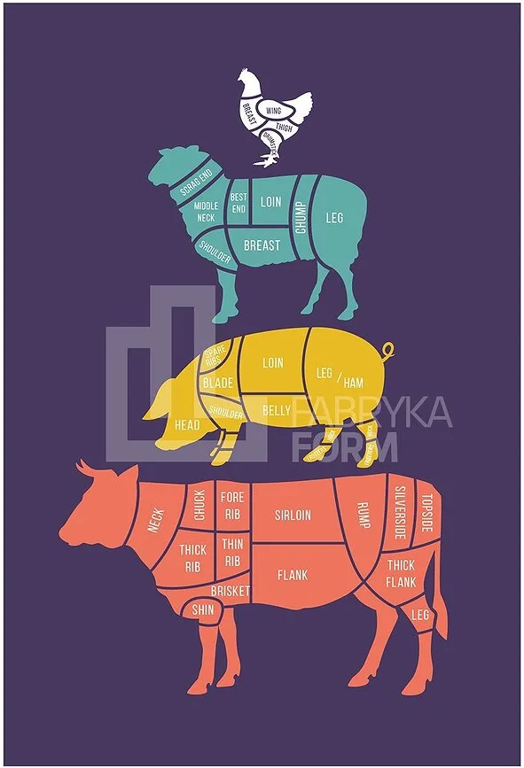 Панно Follygraph Meat Cuts kolorowy, бумага, 70 50 см