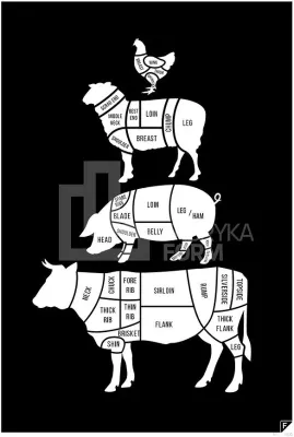 Панно Follygraph Meat Cuts, бумага, 30 21 см
