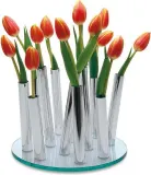 Ваза Philippi Bouquet Стекло — фото 1