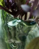 Ваза House Doctor Fish Стекло, 27.5 см, зеленый — фото 2