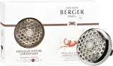 Ароматизатор для автомобиля Maison Berger Paris Champagne — фото 5