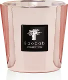 Свеча ароматическая Baobab Collection Exclusives Les Roseum · арт. fabr MAX08ROS — фото 1