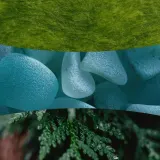 Свеча ароматическая WoodWick Hearthwick Cedarwood and Ocean Moss — фото 2