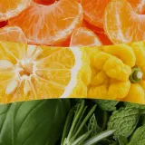 Свеча ароматическая WoodWick Hearthwick Tangerine and Citron — фото 3