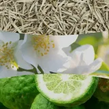 Свеча ароматическая WoodWick Hearthwick White Tea and Jasmine — фото 2