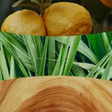 Свеча ароматическая WoodWick Hearthwick Yuzu and Vetiver — фото 2