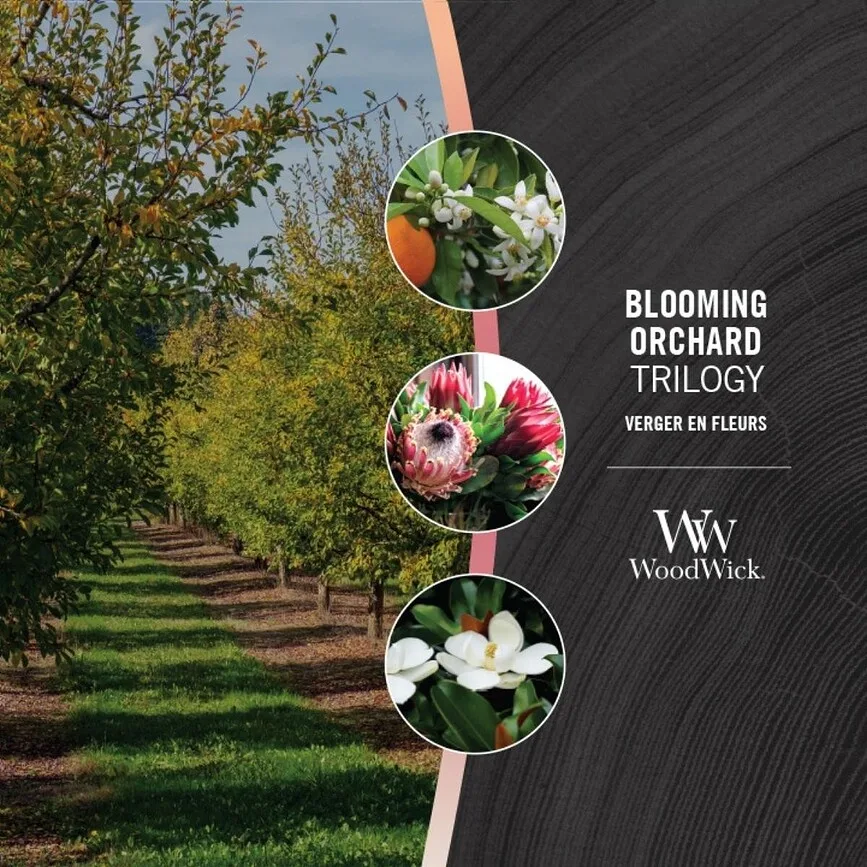 Свеча ароматическая WoodWick Trilogy Blooming Orchard