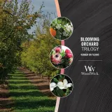 Свеча ароматическая WoodWick Trilogy Blooming Orchard — фото 1