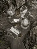 Бокал Blomus, Koyoi, 200 мл, стекло — фото 2