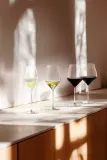 Набор 2 бокала Holmegaard, do burgunda Notes, 2 шт., стекло, прозрачный — фото 5