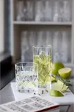 Набор 8 бокалов LyngbyGlas, i drinkow Melodia 310 +, 8 шт., хрустальное стекло, прозрачный — фото 4