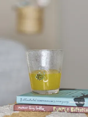 Стакан Bloomingville, Finney, 310 мл, стекло, прозрачный