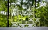 Набор 2 стакана Muurla, do kawy Olo, 2 шт., боросиликатное стекло — фото 3