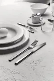 Столовый нож Alessi, Amici, нержавеющая сталь · арт. fabr BG02/6 — фото 1