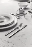 Столовый нож Alessi, Amici, нержавеющая сталь · арт. fabr BG02/3 — фото 2