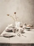 Кружка Rosenthal Maria en Vogue Sand, 300 мл, фарфор, бежевая — фото 2