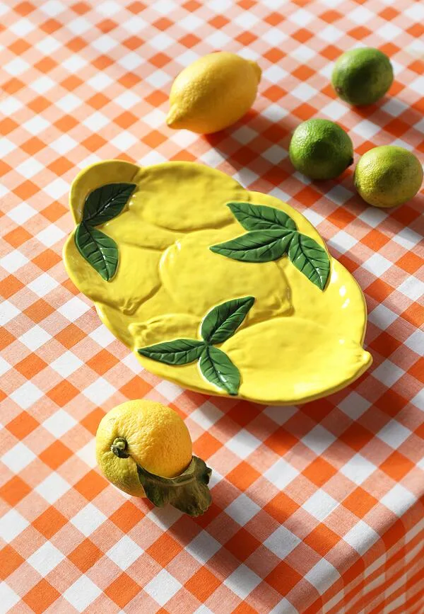 Блюдо сервировочное &K Amsterdam Lemon, овальное, керамика, 19 28,5 см, разноцветное