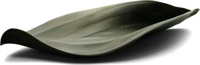 Блюдо сервировочное Covo Seasons, овальное, силикон, 30 53 см, зелёное
