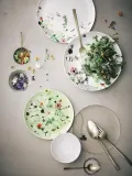 Тарелка десертная Rosenthal Brillance Wiosenny Ogr d, костяной фарфор, 18 см, зелёная — фото 4