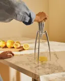 Ручная соковыжималка Alessi Juicy Salif, алюминий — фото 2